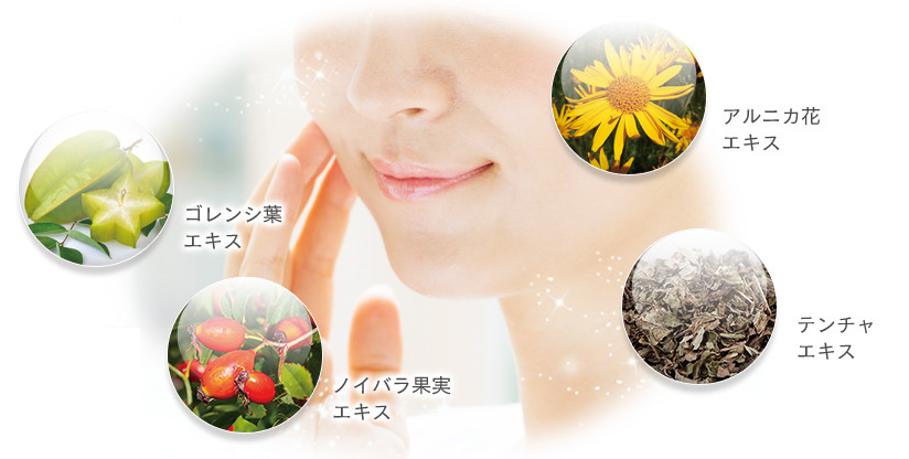 ノイス(NOISU)の成分-画像